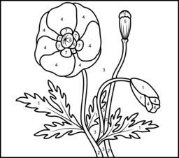 Poppy - Printable Color by Number Page