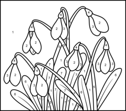 Snowdrop - Printable Color by Number Page